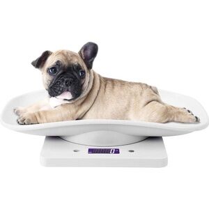 Pet Weight Scale‎ 10kg/1g - Perfect for Small Cats, Dogs & More!**